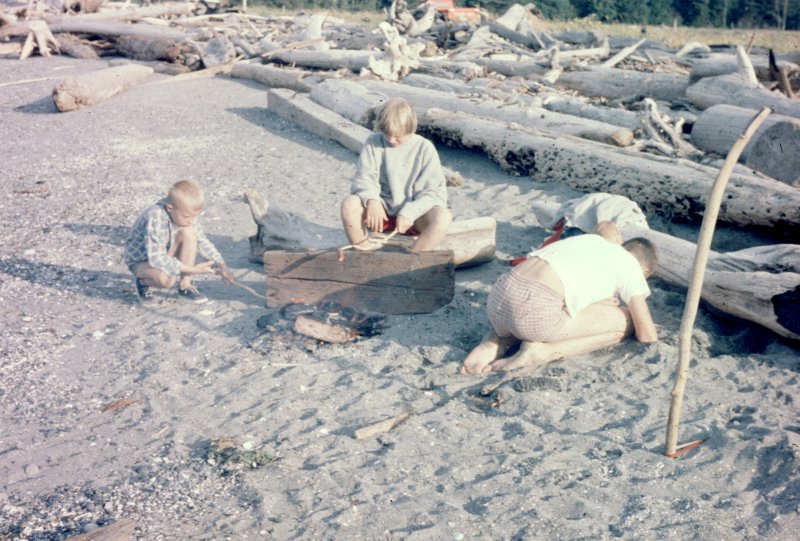 Beachcombing Among the Driftwood