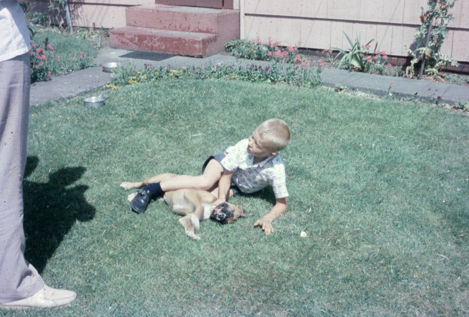 Wrestling with the Puppy