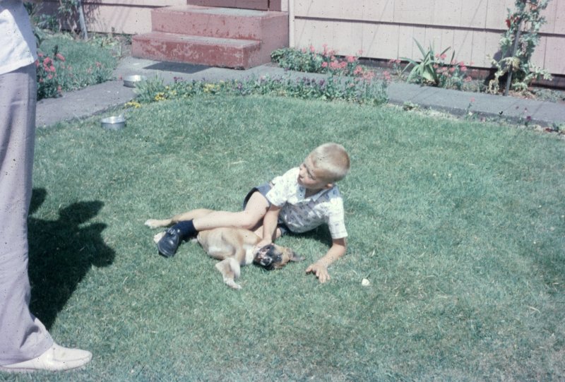 Wrestling with the Puppy
