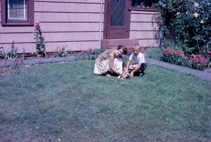 On the Lawn by the House