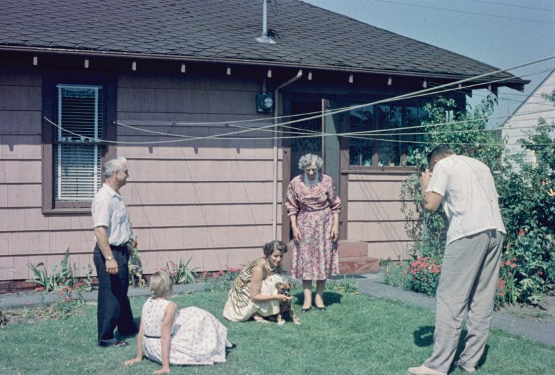 In the Backyard