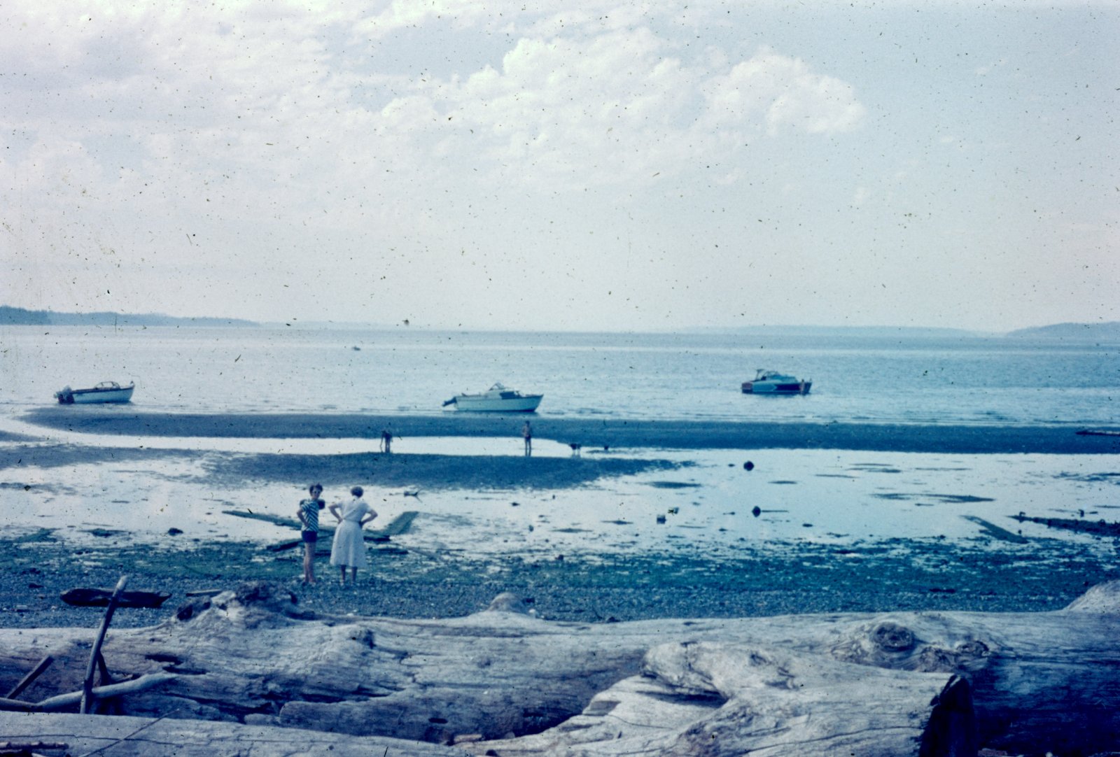 Low Tide on the Sound