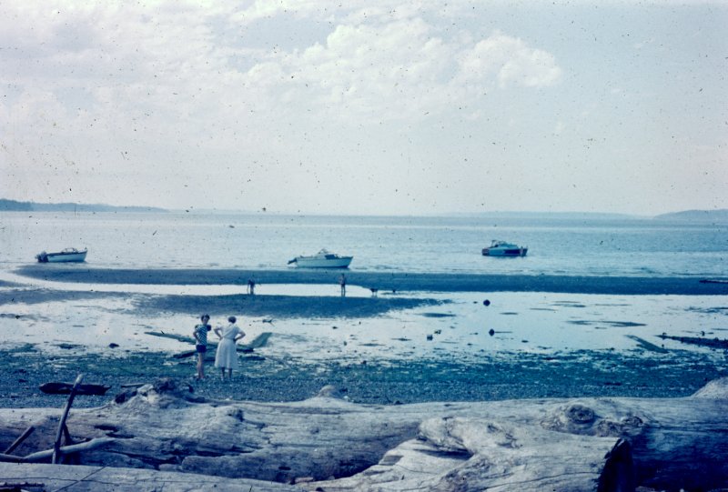 Low Tide on the Sound