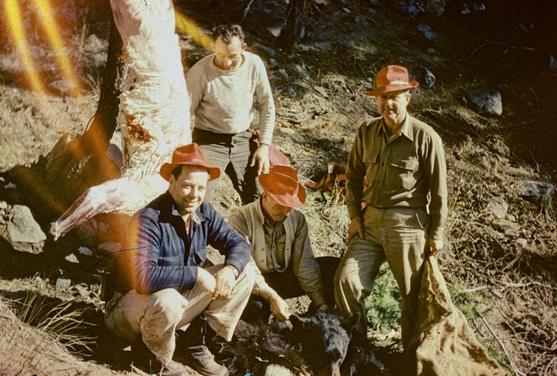 The Hunting Party