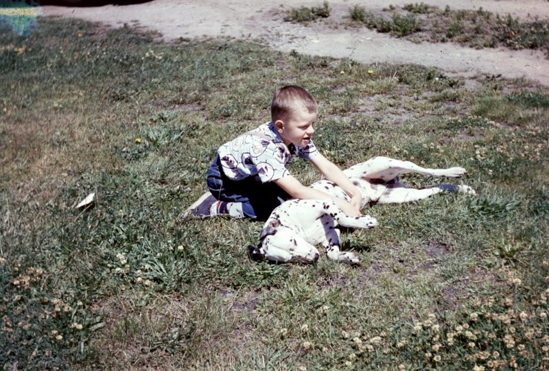 Boy and the Dalmatian Puppy