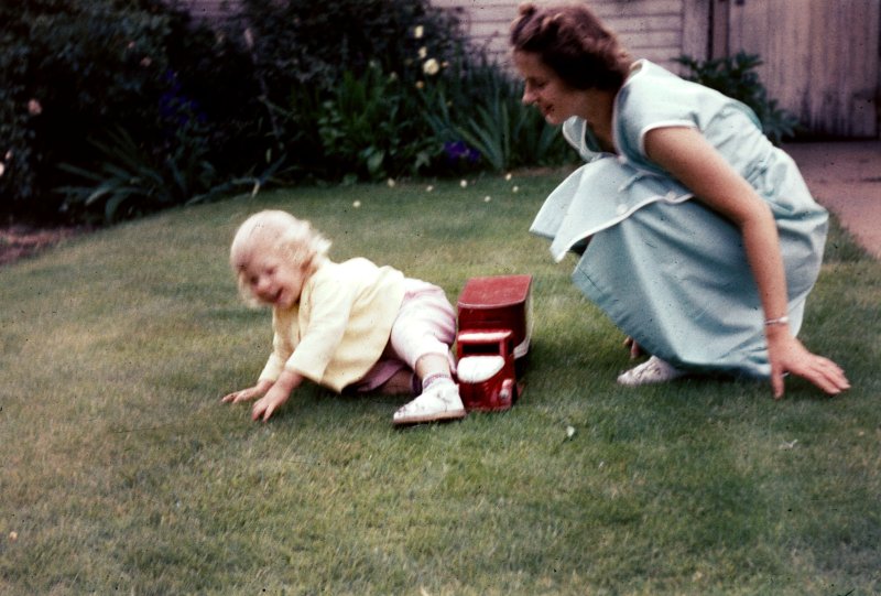 Playing on the Lawn
