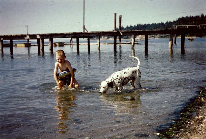 Boy and Dalmatian by the Pier