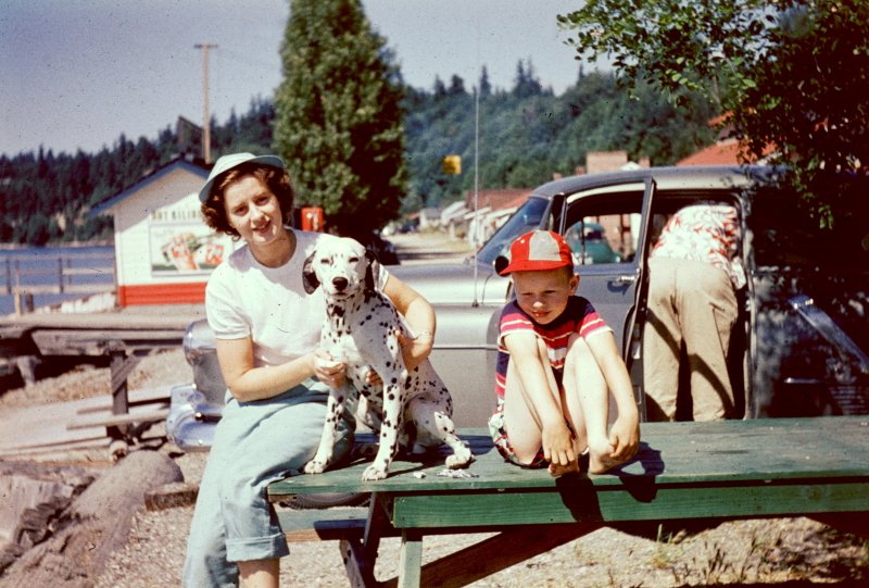 Picnic-Table Portrait