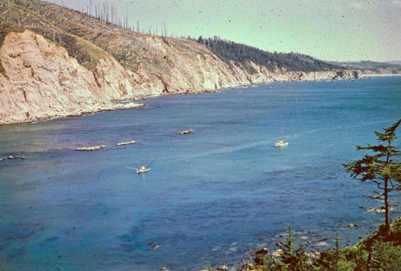 The Quiet Cove