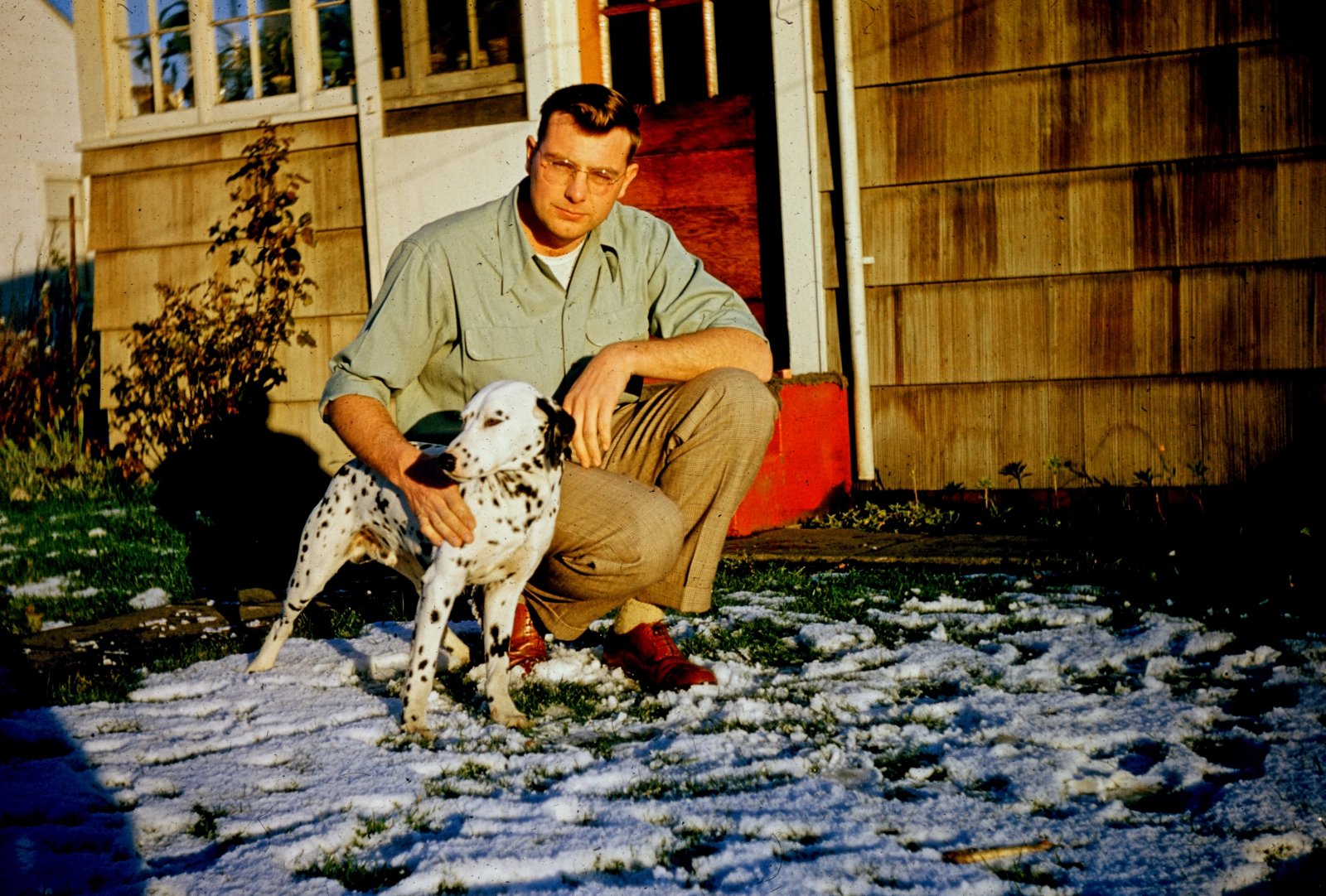 The Dalmatian in the Snow