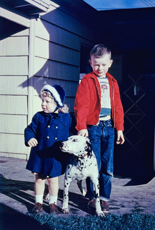 The Kids and Their Dalmatian