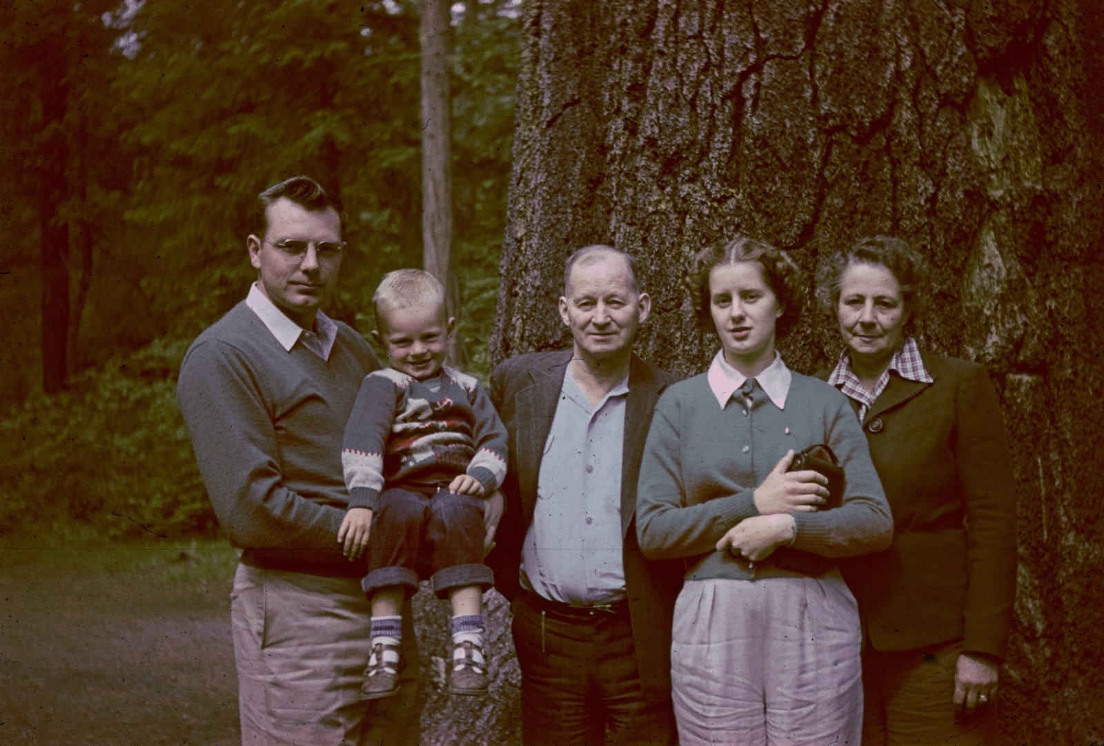 The Family Beneath the Fir