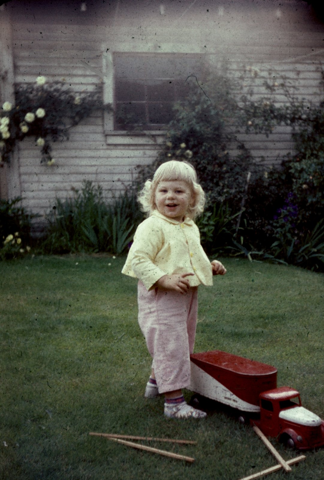 The Little Gardener