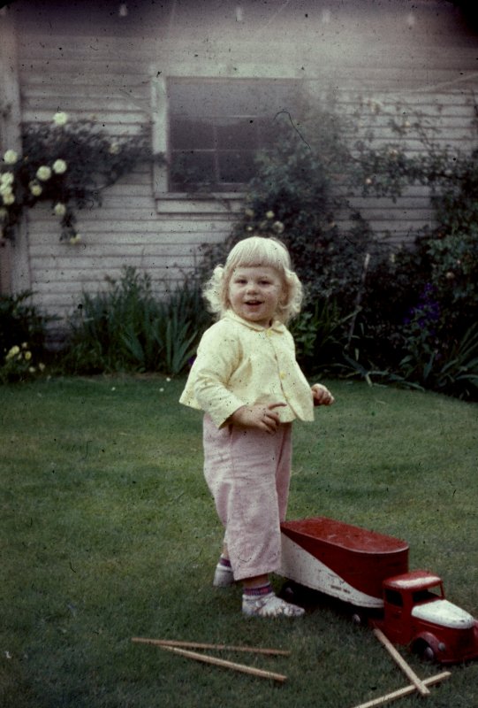 The Little Gardener