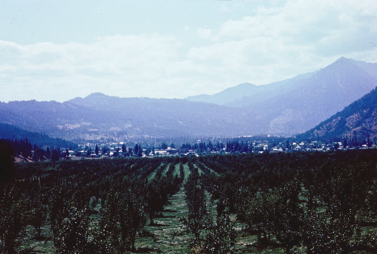 Town Below the Orchards