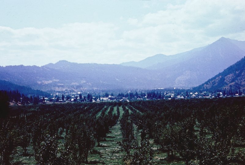 Town Below the Orchards