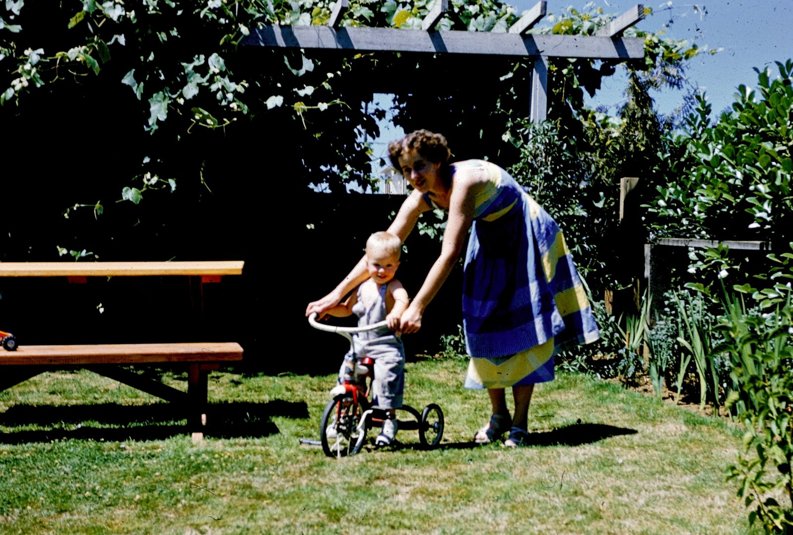 Tricycle Lessons
