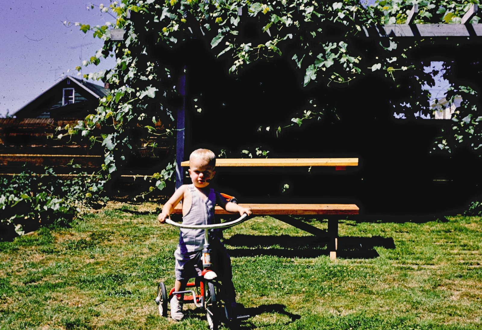 The Little Rider