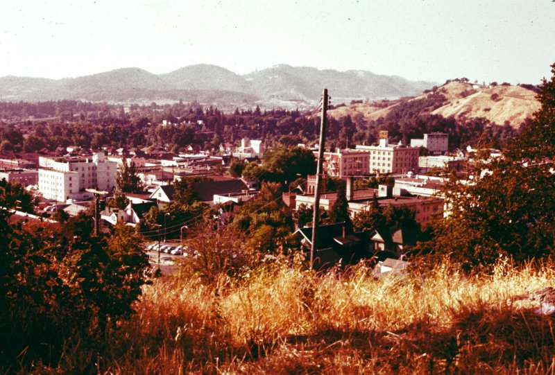 The Town in the Valley