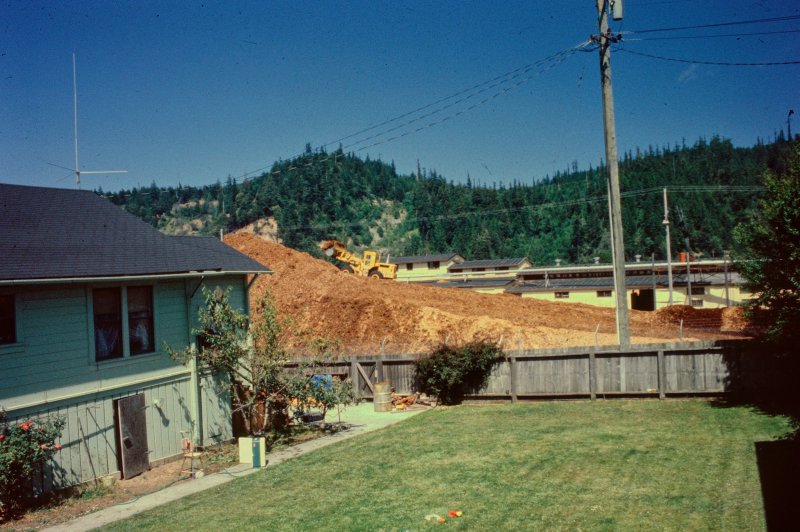 View of Pacific Lumber Company