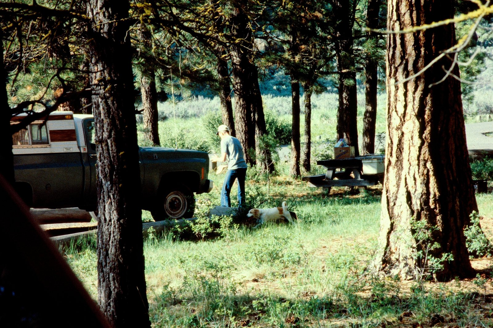 Redcrest Resort Camping