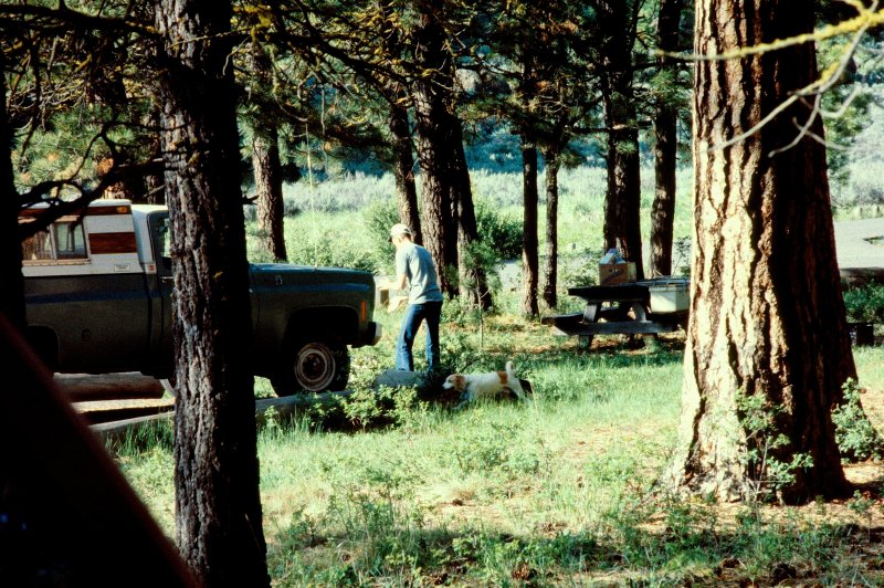 Redcrest Resort Camping