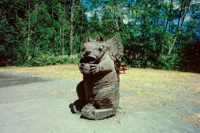 Wooden Squirel Statue