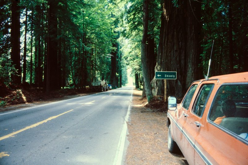 Greig-French-Bell Trail