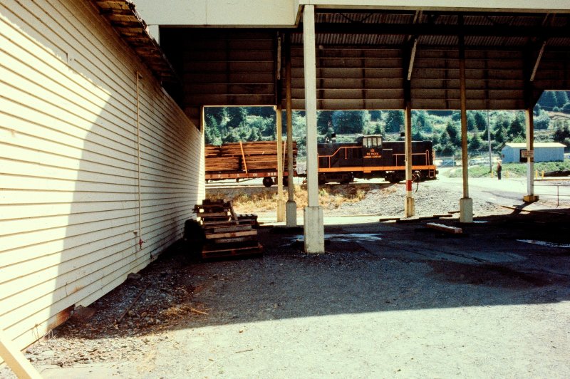 The Pacific Lumber Company