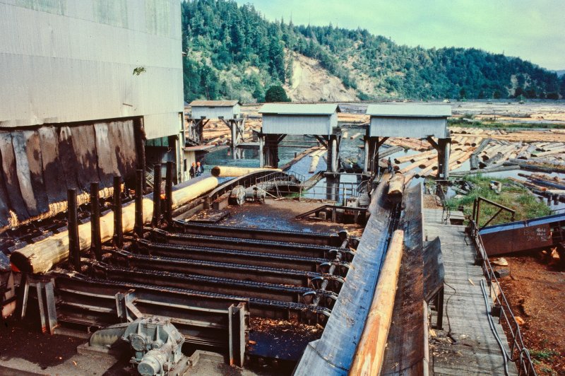 The Pacific Lumber Company