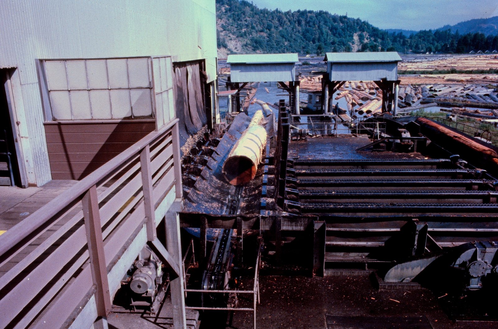 The Pacific Lumber Company