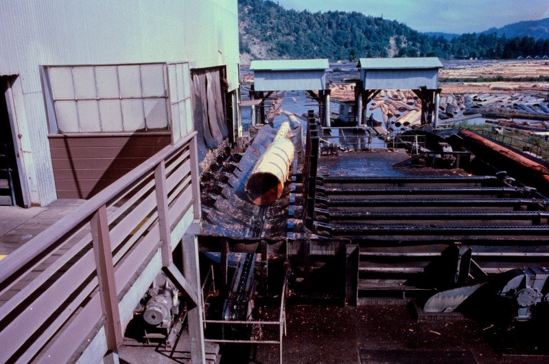 The Pacific Lumber Company
