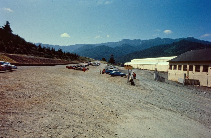 The Pacific Lumber Company