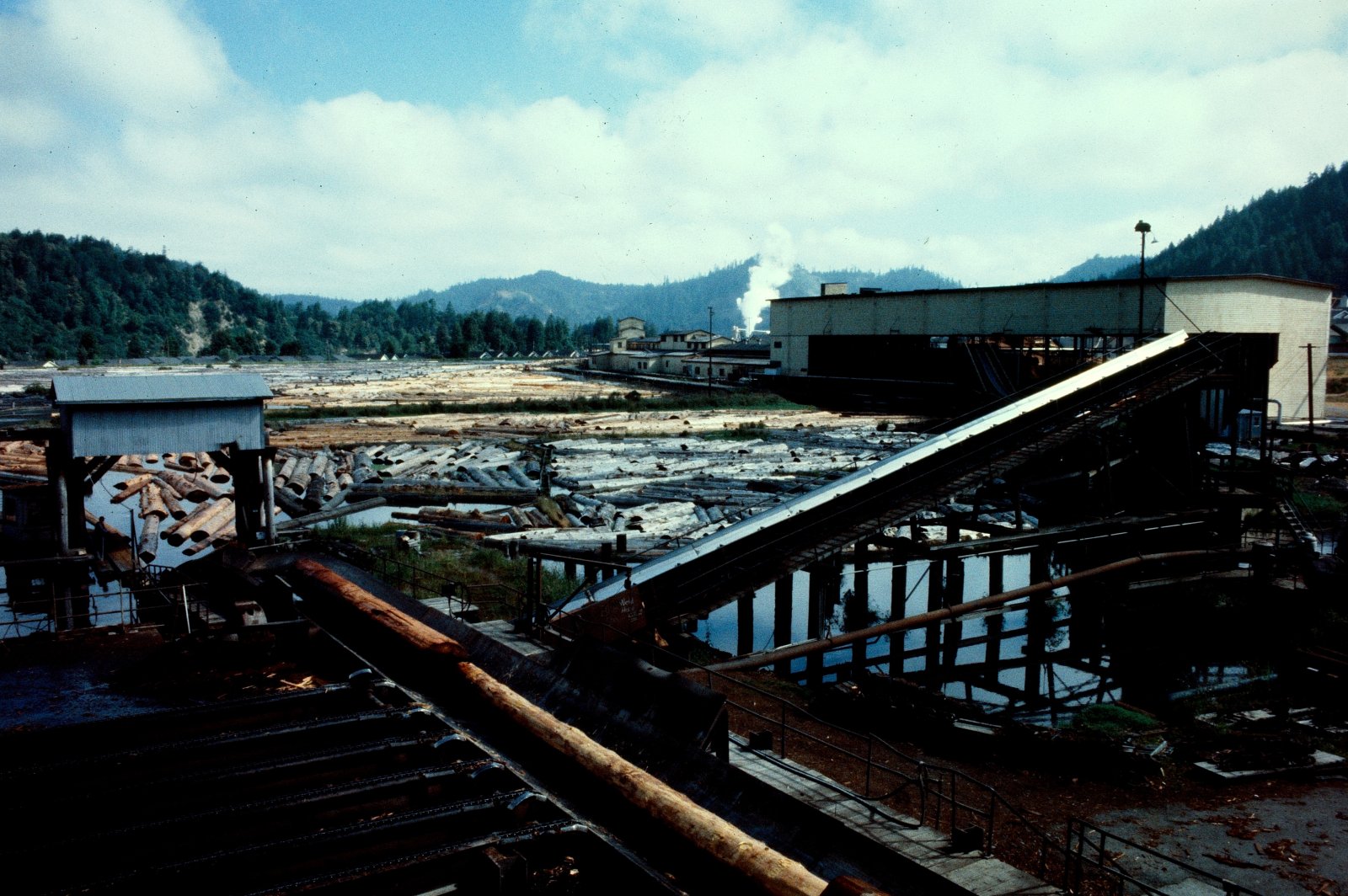 The Pacific Lumber Company