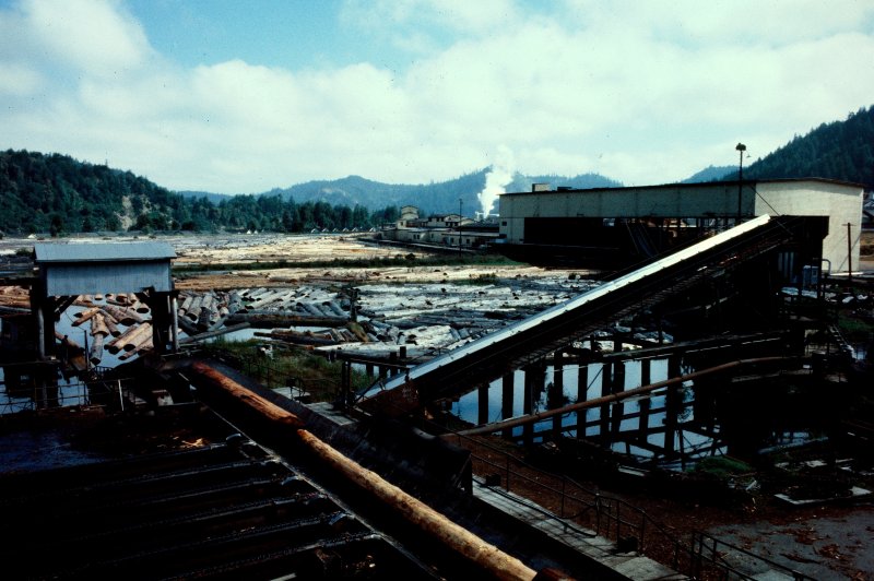The Pacific Lumber Company
