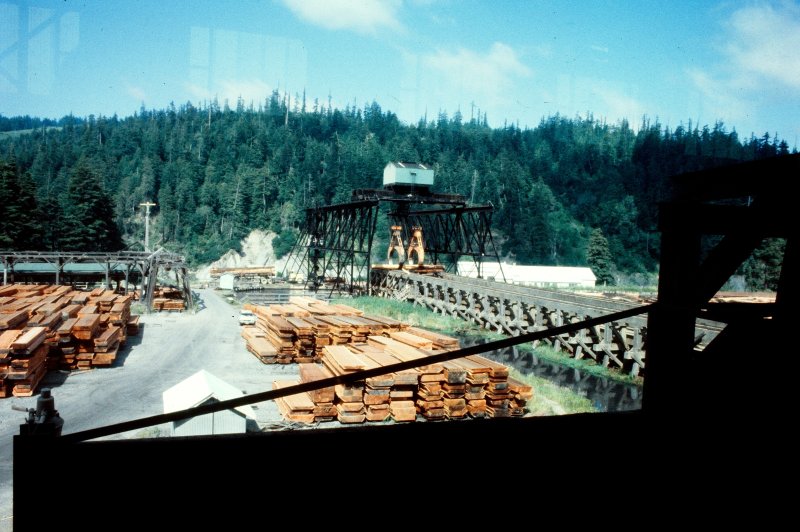 The Pacific Lumber Company