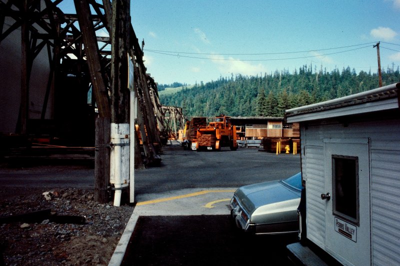 The Pacific Lumber Company