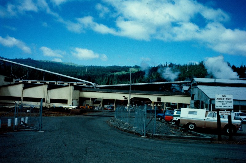 The Pacific Lumber Company