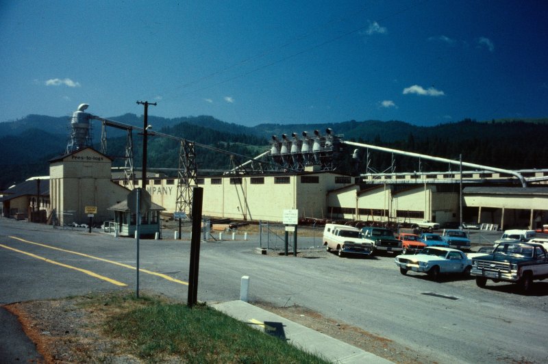 The Pacific Lumber Company