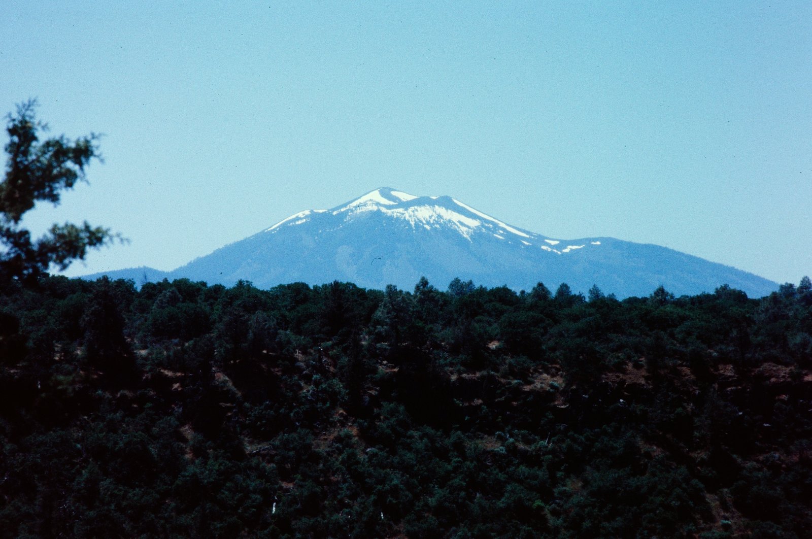Mount Shasta