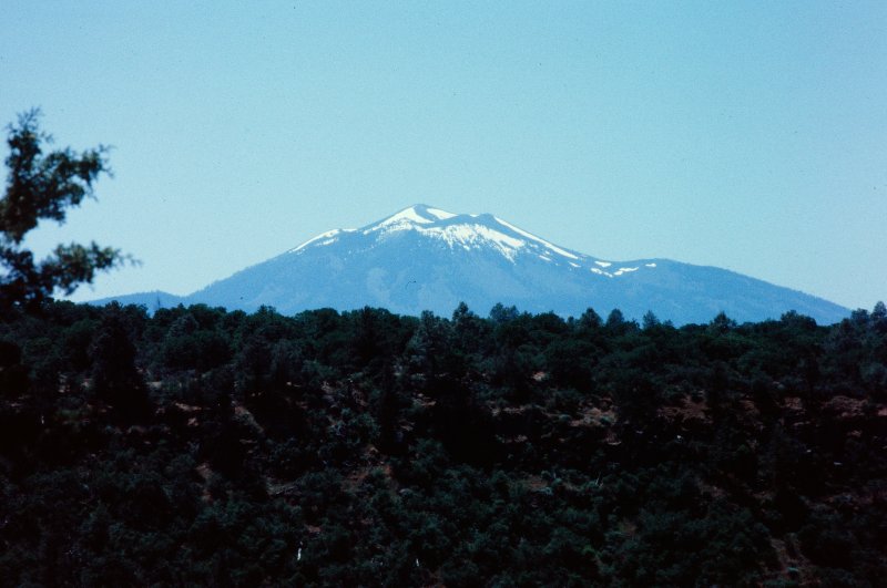 Mount Shasta