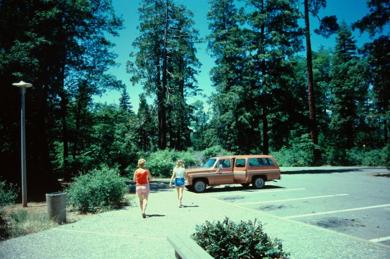 Rest Area