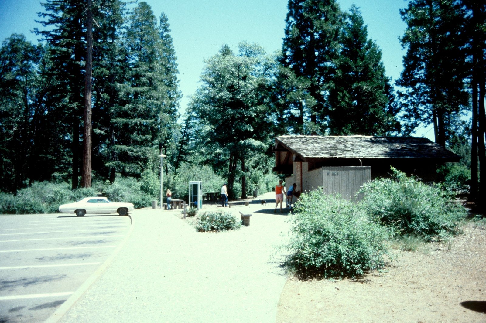 Rest Area