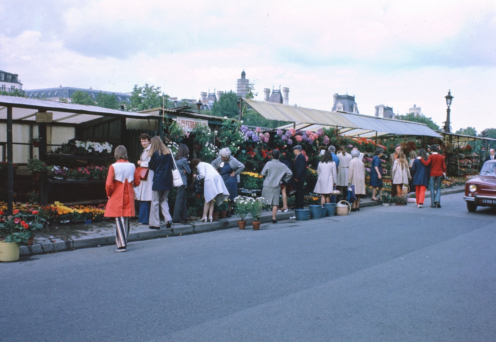 The Flower Market