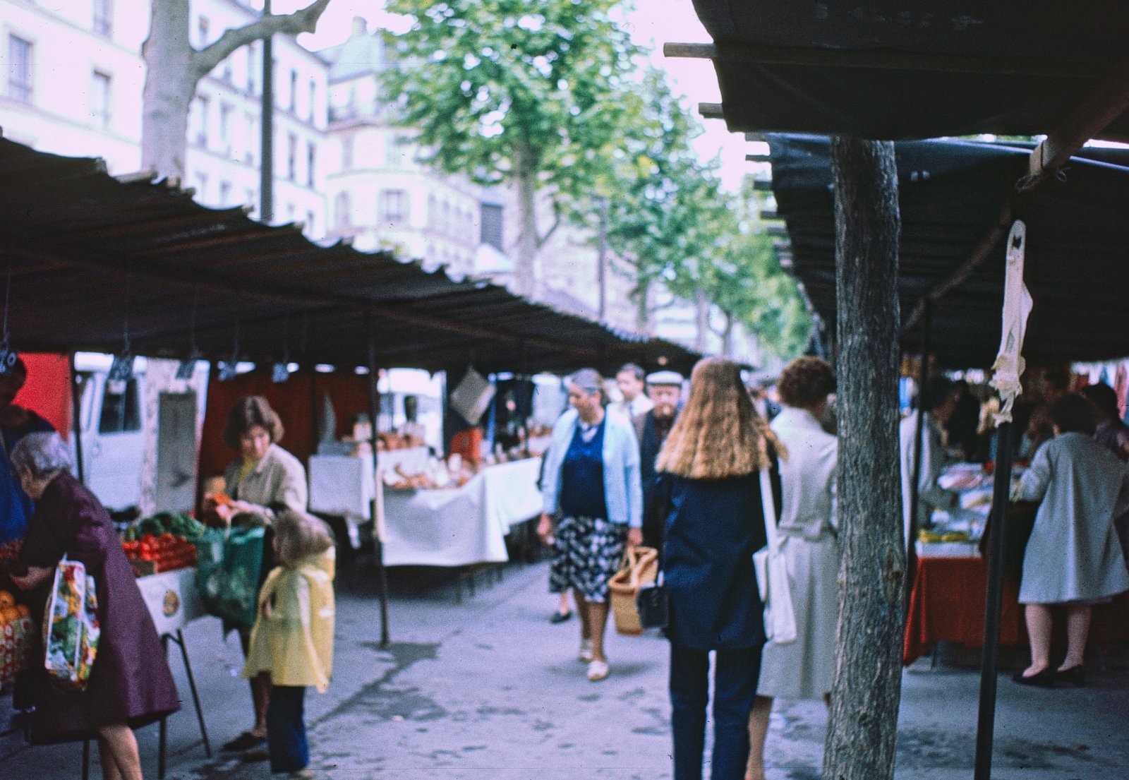Down the Market Aisle