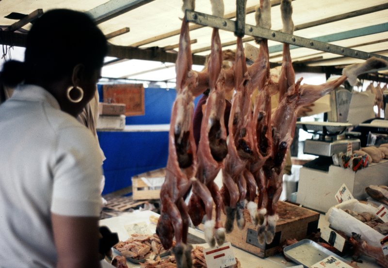 Game at the Market