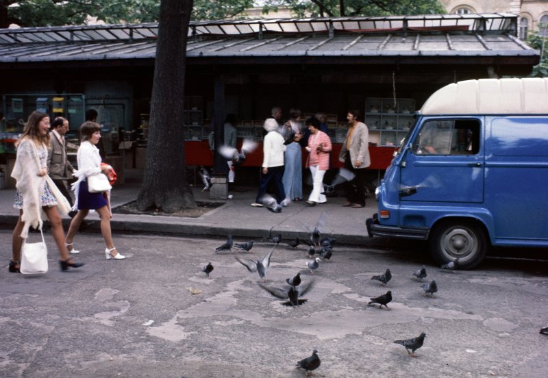 Pigeons and Kiosks