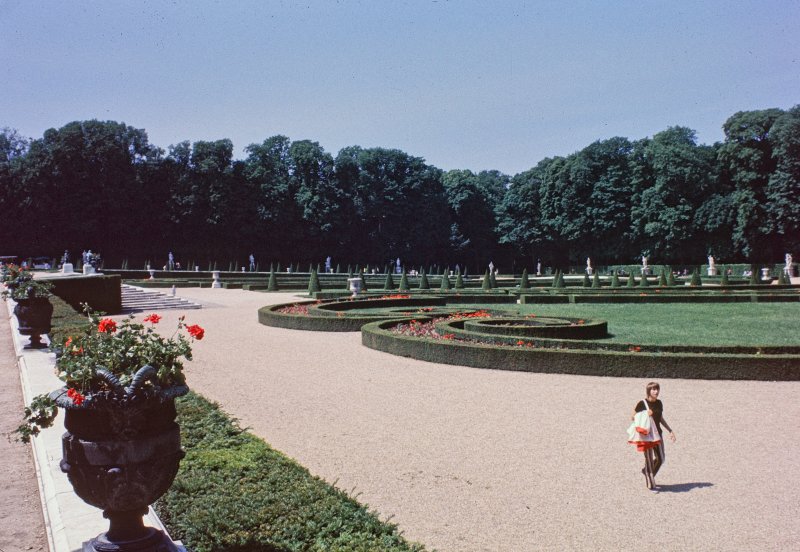 Urns and Geraniums