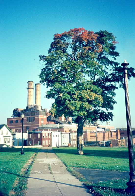 Autumn at the Power Station