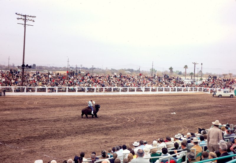 Tucson Rodeo